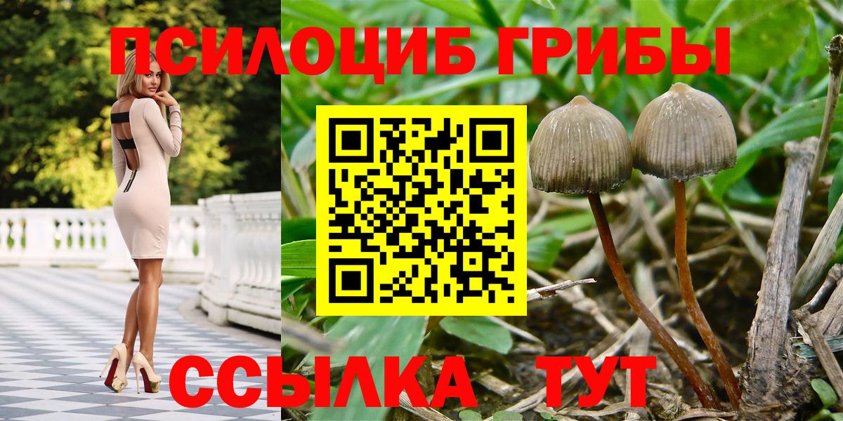 Псилоцибиновые грибы мухоморы Протвино